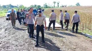 Bupati Bone Cek Kesiapan Panen Raya Desa Bolli Jelang Kunjungan Kapolri dan Mentan Besok 10 Bupati Bone Cek Kesiapan Panen Raya Desa Bolli Jelang Kunjungan Kapolri dan Mentan Besok