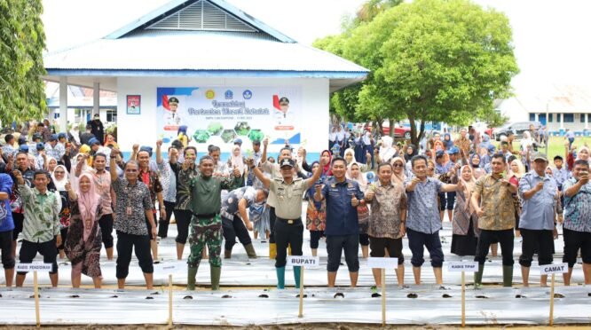 Pertanian Masuk Sekolah, SMPN 3 Watampone Jadi Percontohan di Bone 6 Pertanian Masuk Sekolah, SMPN 3 Watampone Jadi Percontohan di Bone