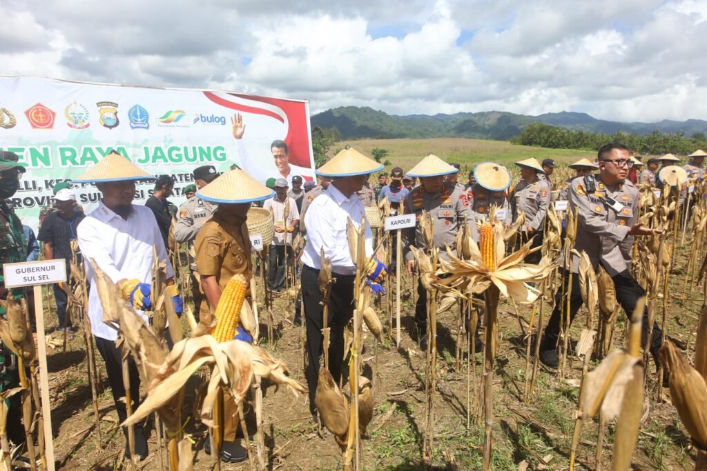 FOTO: Kapolri dan Mentan Hadiri Panen Raya Jagung di Ponre Bone