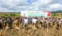 Kapolri dan Mentan Panen Raya Jagung di Bone, Dukung Program Asta Cita Prabowo