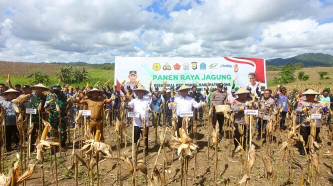 Kapolri dan Mentan Panen Raya Jagung di Bone, Dukung Program Asta Cita Prabowo 3 Kapolri dan Mentan Panen Raya Jagung di Bone, Dukung Program Asta Cita Prabowo
