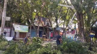 Satgas Sinjai Pangkas Pohon Rawan Tumbang di Pasar Sentral, Antisipasi Bencana 55 Satgas Sinjai Pangkas Pohon Rawan Tumbang di Pasar Sentral, Antisipasi Bencana