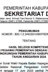 Ini Hasil Seleksi PPPK Tenaga Teknis Pemkab Bone 2024, Cek Namamu di Sini!