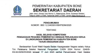 Ini Hasil Seleksi PPPK Tenaga Teknis Pemkab Bone 2024, Cek Namamu di Sini!