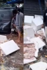 Kecelakaan di Tonra, Mobil Angkut Telur dan Ayam Potong Terguling di Tengah Jalan