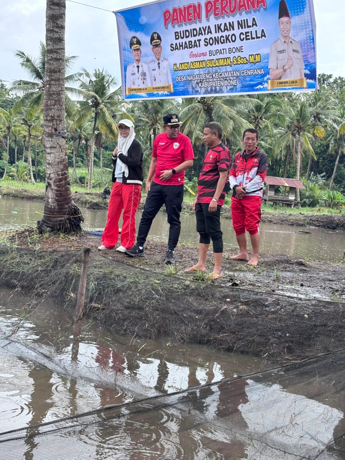 Panen Perdana Ikan Nila Sahabat Songko Cella, Wabup Bone Tekankan Pemasaran
