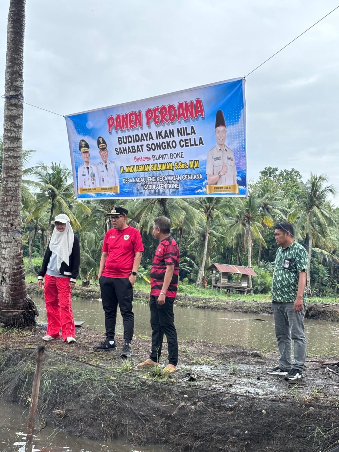 Panen Perdana Ikan Nila Sahabat Songko Cella, Wabup Bone Tekankan Pemasaran