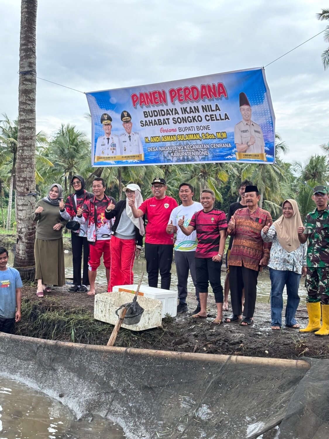 Panen Perdana Ikan Nila Sahabat Songko Cella, Wabup Bone Tekankan Pemasaran
