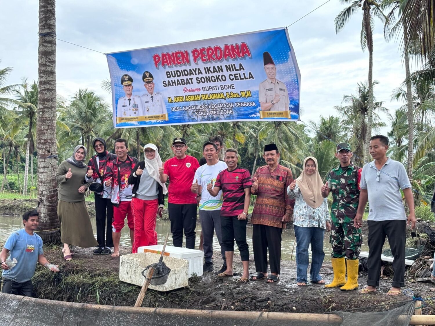 Panen Perdana Ikan Nila Sahabat Songko Cella, Wabup Bone Tekankan Pemasaran