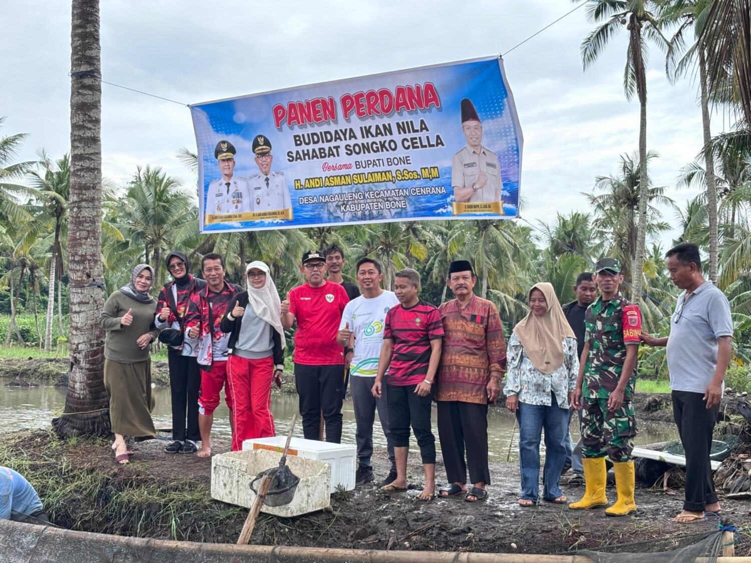 Panen Perdana Ikan Nila Sahabat Songko Cella, Wabup Bone Tekankan Pemasaran