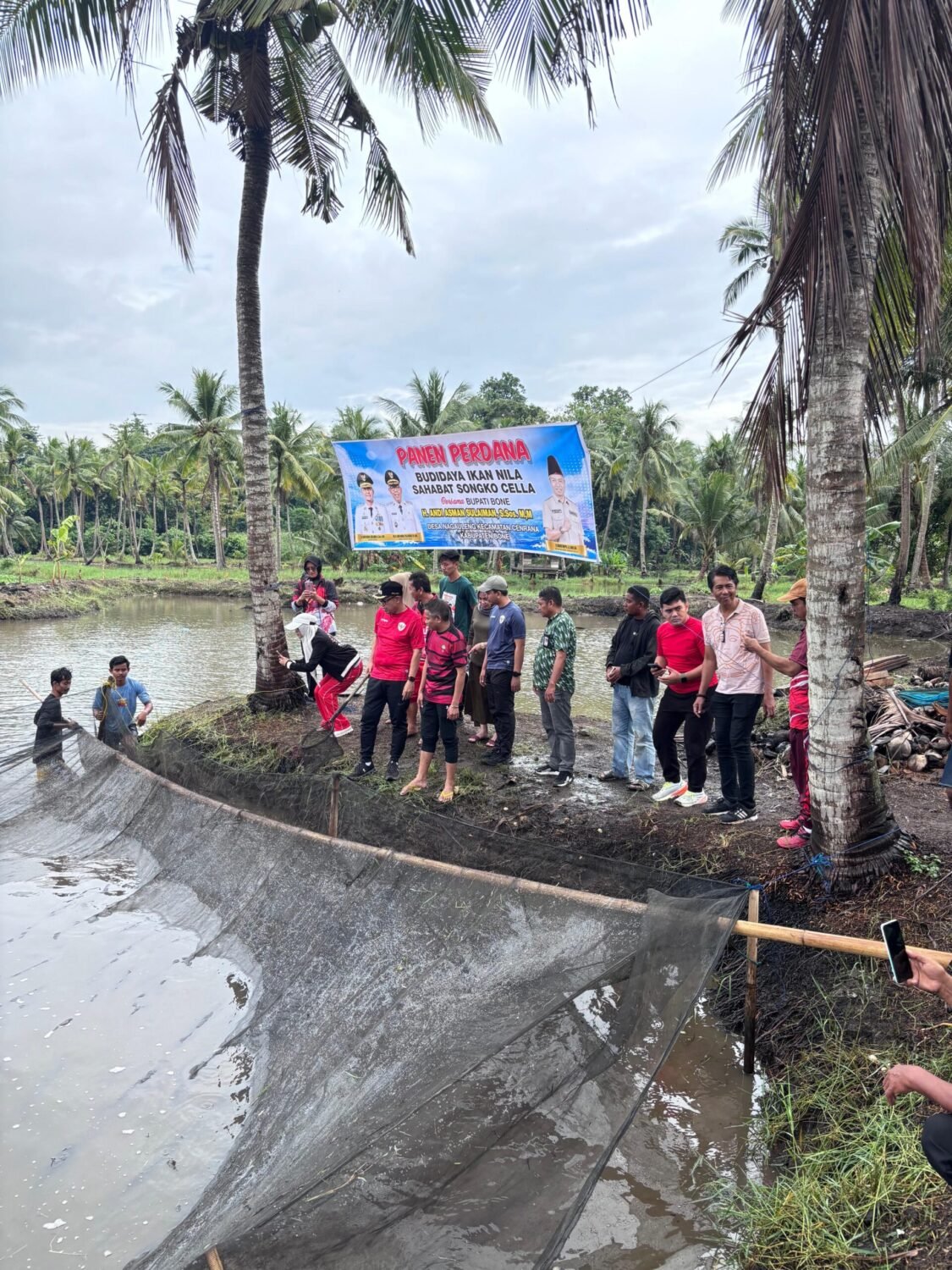 Panen Perdana Ikan Nila Sahabat Songko Cella, Wabup Bone Tekankan Pemasaran