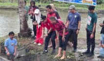 Panen Perdana Ikan Nila Sahabat Songko Cella, Wabup Bone Tekankan Pemasaran