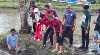 Panen Perdana Ikan Nila Sahabat Songko Cella, Wabup Bone Tekankan Pemasaran