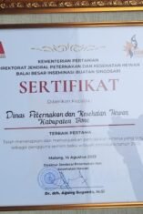 Bone Raih Terbaik Pertama BBIB Award 2025 Kategori Pengguna Semen Beku Wilayah Introduksi