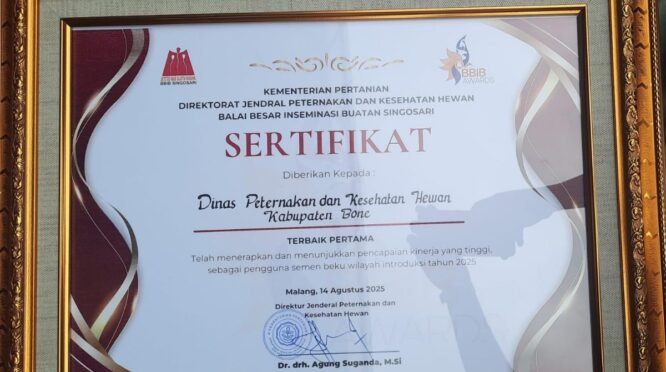 Bone Raih Terbaik Pertama BBIB Award 2025 Kategori Pengguna Semen Beku Wilayah Introduksi