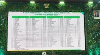 Bone Masuk 5 Besar Produksi Beras Nasional 2025, Capai 524.589 Ton