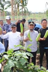 Gubernur Sulsel Launching Kebun Hortikultura Terintegrasi untuk Dukung Makan Bergizi Gratis (MBG) di Bone(1)