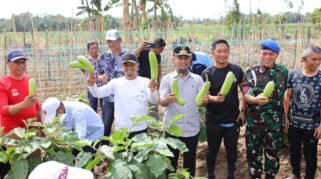 Gubernur Sulsel Launching Kebun Hortikultura Terintegrasi untuk Dukung Makan Bergizi Gratis (MBG) di Bone(1)
