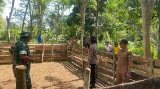 Bongkar Praktek Judi Sabung Ayam di Bengo, Polisi Musnahkan Barang Bukti di Lokasi