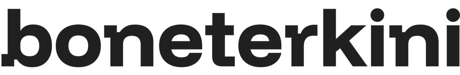 LOGO BARU BONE TERKINI