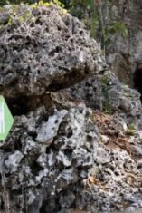 Objek wisata sejarah dan bahari Cempalagi di Kecamatan Awangpone Kabupaten Bone.