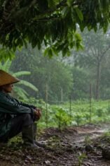 Seorang warga berteduh di bawah pohon di area kebun saat hujan gerimis turun pada siang hari.