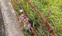 Tumpukan pakaian dalam ditemukan di semak-semak dekat pagar pembatas kawasan BTN Vila Bugenvil, Watampone, diduga berkaitan dengan laporan warga mengenai dugaan pencurian pakaian dalam.