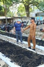 Bupati Bone meninjau Taman Sayur BerAmal di Watampone yang memanfaatkan lahan bekas sampah menjadi kebun sayur produktif.