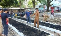 Bupati Bone meninjau Taman Sayur BerAmal di Watampone yang memanfaatkan lahan bekas sampah menjadi kebun sayur produktif.
