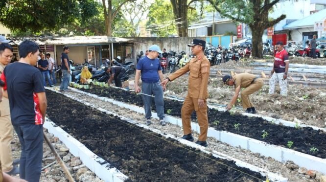 Bupati Bone meninjau Taman Sayur BerAmal di Watampone yang memanfaatkan lahan bekas sampah menjadi kebun sayur produktif.